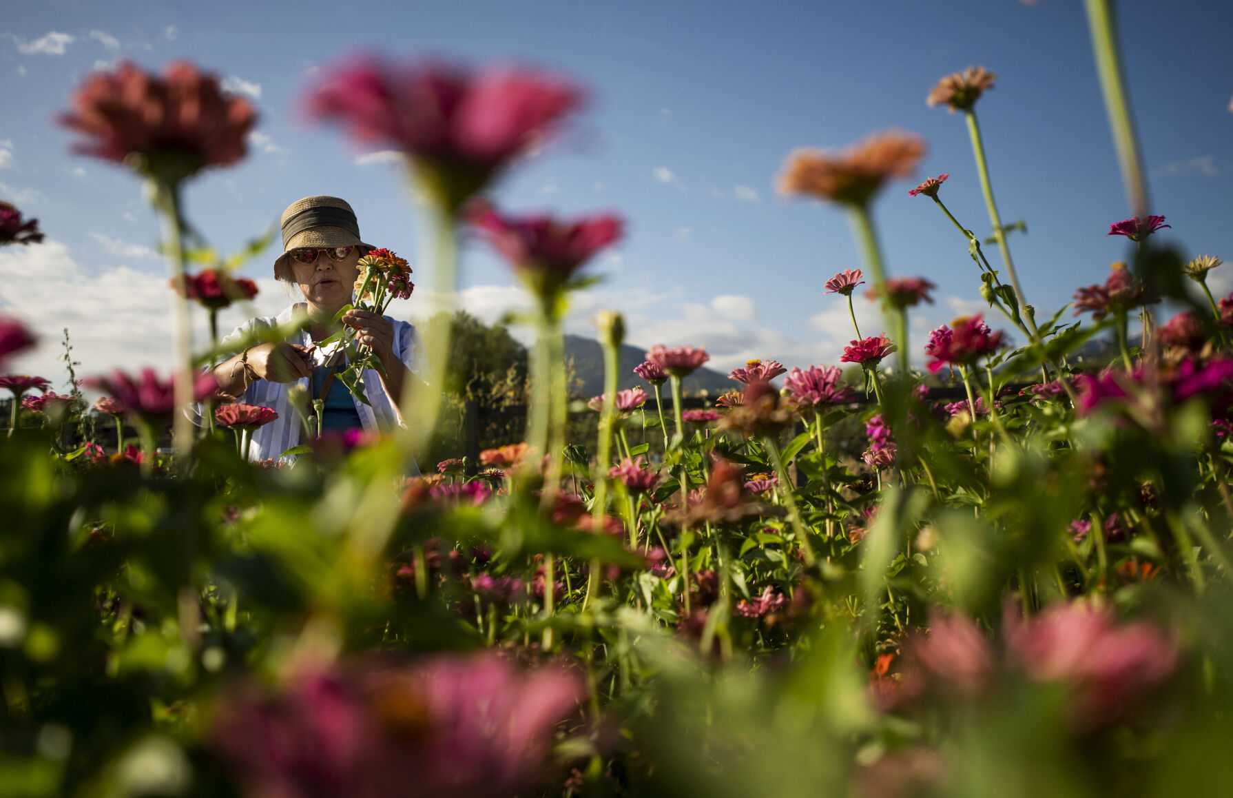 091521-news-ethnic-gardening 01.jpg
